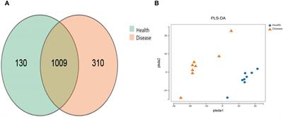 Interpretation of the effects of rumen acidosis on the gut microbiota and serum metabolites in calves based on 16S rDNA sequencing and non-target metabolomics